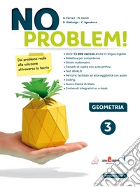 No problem! Geometria. Per la Scuola media. Con e-book. Con espansione online. Vol. 3 libro