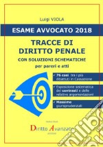 Esame avvocato 2018. Tracce di diritto penale. Con soluzioni schematiche per pareri e atti libro