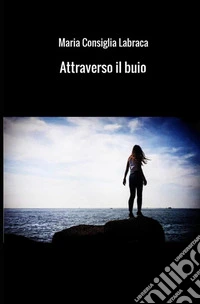 Attraverso il buio libro