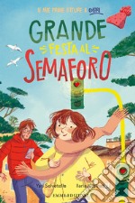 Grande festa al semaforo. Ediz. a colori libro