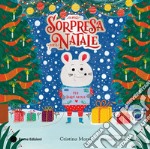 Una sorpresa per Natale. Ediz. a colori libro