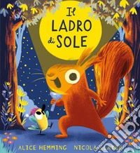 Il ladro di sole. Ediz. a colori libro