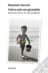 Volevo solo una girandola. Racconti brevi di vita pubblica