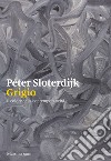 Grigio. Il colore della contemporaneità libro di Sloterdijk Peter