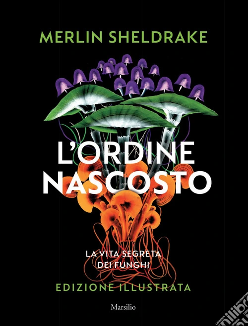 L'ordine nascosto. Ediz. a colori