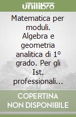 Matematica per moduli. Algebra e geometria analitica di 1° grado. Per gli Ist. professionali settori industria e artigianato e agricoltura libro