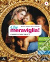 Che meraviglia! Con Leggere e rielaborare le opere d'arte. Per la Scuola media. Con e-book. Con espansione online. Vol. A-B: Scoprire i concetti chiave della storia dell'arte-Sviluppare la creatività libro