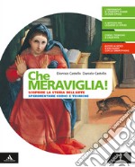 Che meraviglia! Con Leggere e rielaborare le opere d'arte. Per la Scuola media. Con e-book. Con espansione online. Con DVD-ROM libro