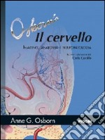 Il cervello. Imaging, patologia e anatomia libro