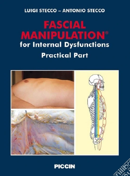 Fascial manipulation for internal dysfunctions. Practical part