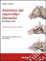 Anatomia dei mammiferi domestici