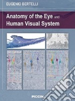 Anatomy of the eye and human visual system