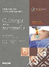 Chirurgia della mammella libro