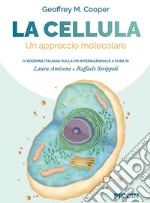 La cellula. Un approccio molecolare