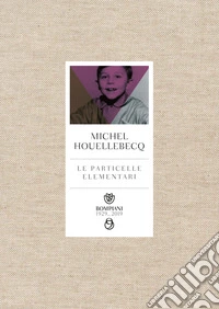 Le particelle elementari libro