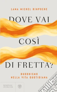 Dove vai così di fretta? Buddhismo nella vita quotidiana libro