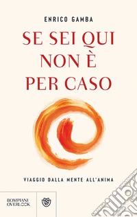 Se sei qui non è per caso. Viaggio dalla mente all'anima libro