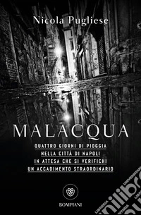 Malacqua. Quattro giorni di pioggia nella città di Napoli in attesa che si verifichi un accadimento straordinario libro