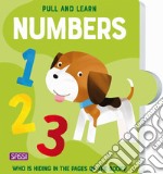 Pull and learn. Numbers. Ediz. a colori libro