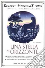 Una stella all'orizzonte