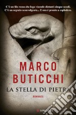 La stella di pietra libro