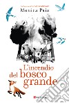 L'incendio del bosco grande libro di Pais Monica