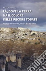 Là, dove la terra ha il colore delle pecore tosate