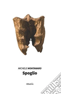 Spoglio