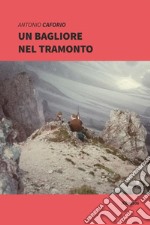 Un bagliore nel tramonto libro