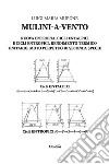 Mulini-a-vento libro di Murone Luigi Maria