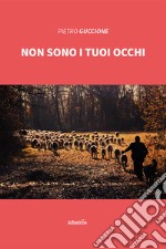 Non sono i tuoi occhi libro