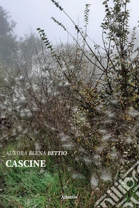 Cascine