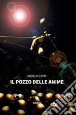 Il pozzo delle anime libro