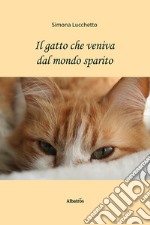 Il gatto che veniva dal mondo sparito