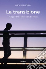 La transizione. Viaggio tra i cocci di una stella