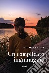 Un complicato ingranaggio libro