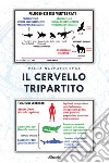 Il cervello tripartito libro