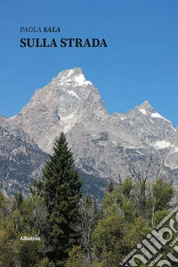 Sulla strada