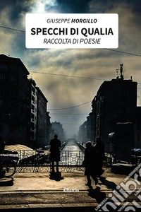Specchi di qualia