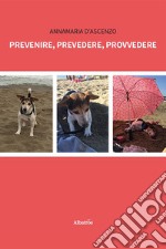 Prevenire, prevedere, provvedere libro