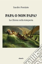 Papa o non papa? La Chiesa nella tempesta