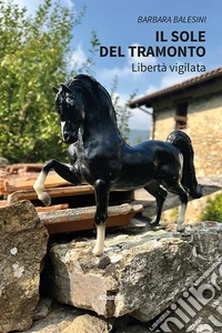 Il sole del tramonto libro