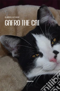Gafro the cat