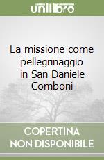 La missione come pellegrinaggio in San Daniele Comboni libro