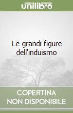 Le grandi figure dell'induismo libro