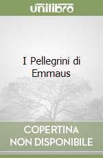 I Pellegrini di Emmaus libro