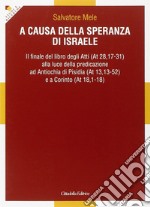 A causa della speranza di Israele. Il finale del libro degli Atti alla luce della predicazione ad Antiochia di Pisidia e a Corinto libro