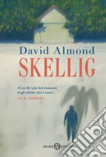 Skellig libro