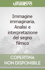 Immagine immaginaria. Analisi e interpretazione del segno filmico libro