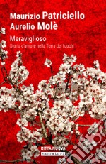 Meraviglioso. Storia d'amore nella «terra dei fuochi» libro